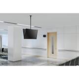Neomounts - FPMA-C340DBLACK Soporte de techo para doble monitor/TV 32-75" - alt. 106-156 cm