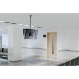 Neomounts - FPMA-C340DBLACK Soporte de techo para doble monitor/TV 32-75" - alt. 106-156 cm