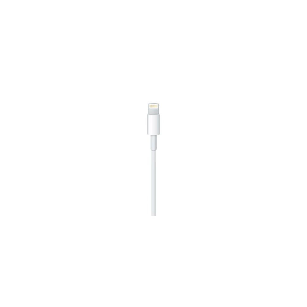 Apple - Lightning / USB 0,5 m Blanco