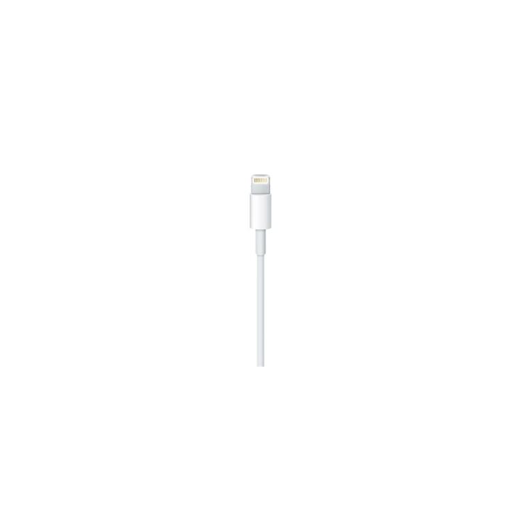 Apple - Lightning / USB 0,5 m Blanco