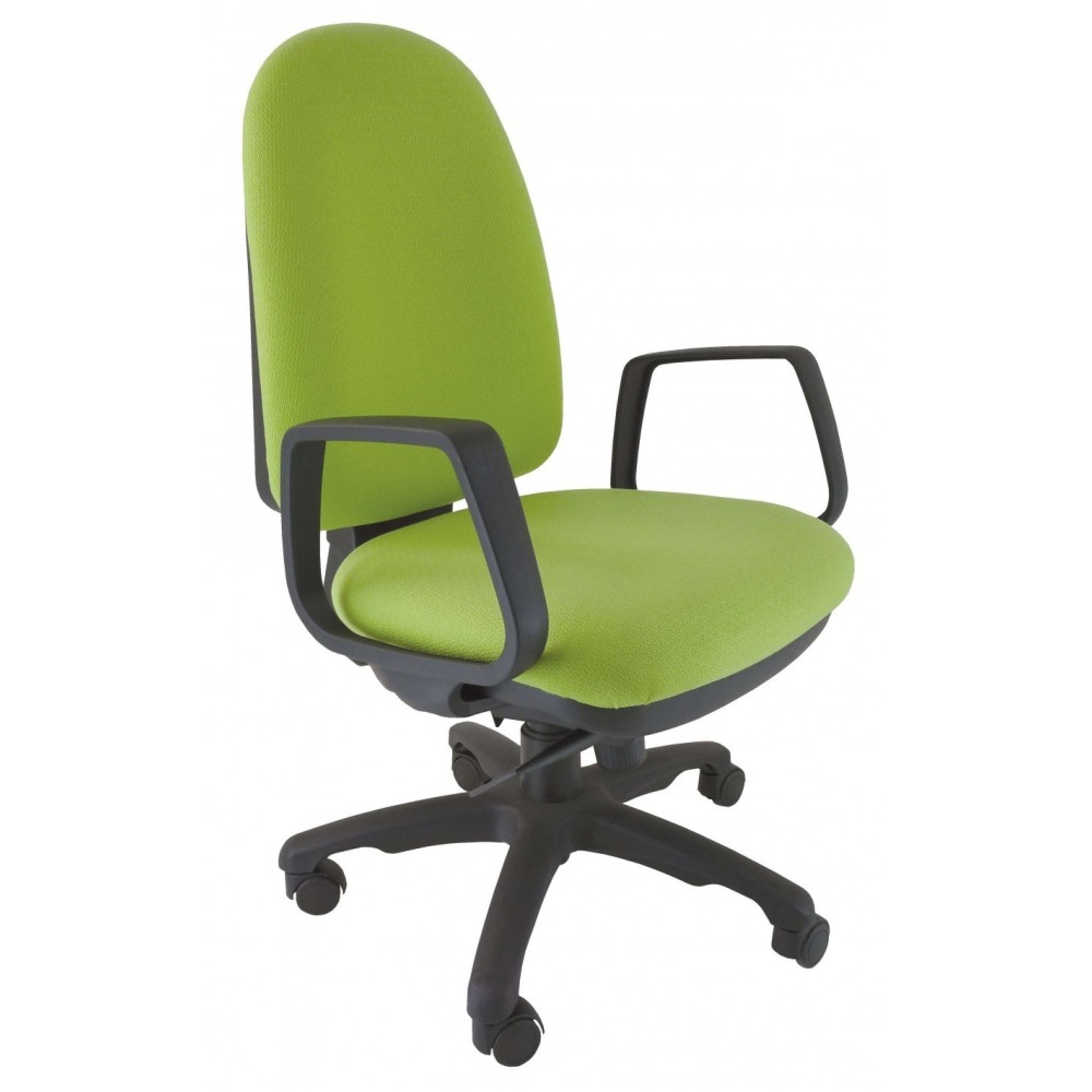 Silla Koral Evolution