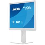 iiyama - ProLite B1980S-W1 pantalla para PC 48,3 cm (19") 1280 x 1024 Pixeles SVGA LED Blanco