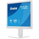 iiyama - ProLite B1980S-W1 pantalla para PC 48,3 cm (19") 1280 x 1024 Pixeles SVGA LED Blanco