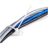 StarTech.com - Bridas sujetacables de 20cm con perforación de montaje - 4 mm de ancho, para grupo de cables de 52 mm, soportan 2