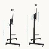 TooQ - AQUILES” Soporte de Suelo con Ruedas con Regulación de Altura para Pantallas 60"-100", Negro