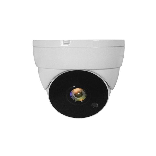 LevelOne - ACS-5302 cámara de vigilancia Almohadilla Cámara de seguridad CCTV Interior y exterior Techo