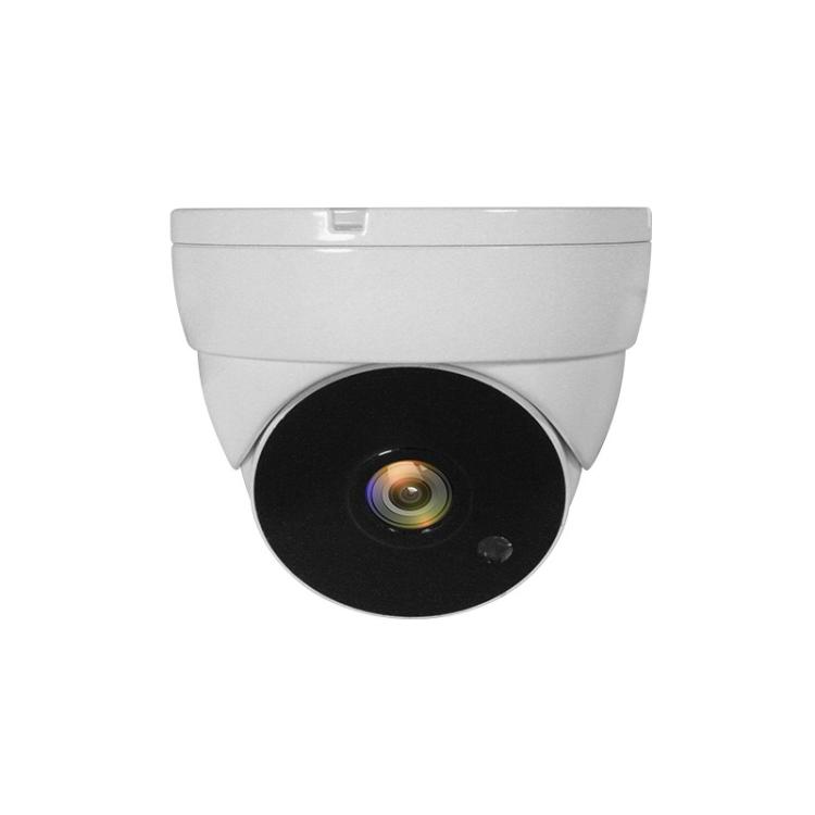 LevelOne - ACS-5302 cámara de vigilancia Almohadilla Cámara de seguridad CCTV Interior y exterior Techo