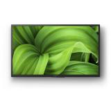 Sony - KD32W800P1AEP Televisor 81,3 cm (32") HD Smart TV Wifi Negro