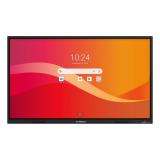 Synetech - Piscis Pantalla plana para señalización digital 165,1 cm (65") LCD Wifi 350 cd / m² 4K Ultra HD Negro Pantalla táctil