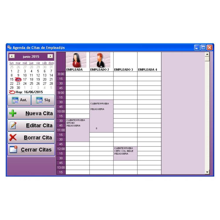 Solinsur - Peluges Programa de Gestion para Peluquerias y Salones de Belleza Licencia Electronica