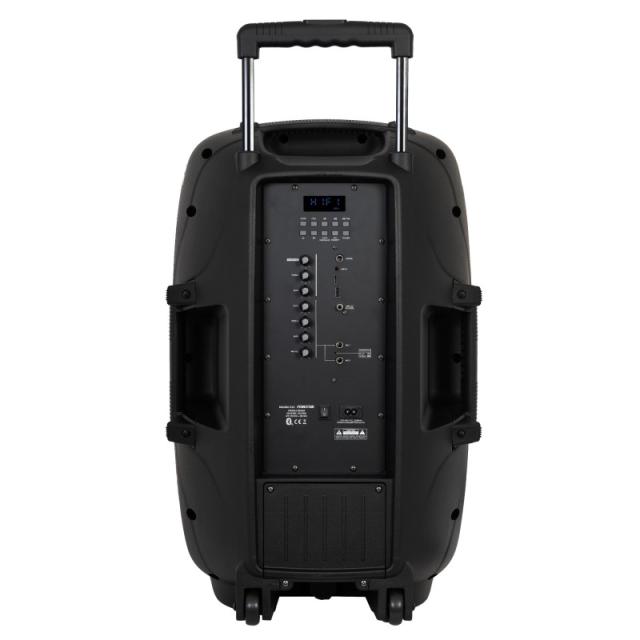 Fonestar - MALIBU-315 altavoz Negro Inalámbrico y alámbrico 250 W