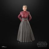 Hasbro - Star Wars Morgan Elsbeth