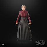 Hasbro - Star Wars Morgan Elsbeth