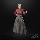 Hasbro - Star Wars Morgan Elsbeth