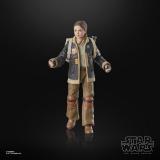 Hasbro - Star Wars Fern