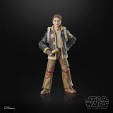 Hasbro - Star Wars Fern