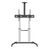 Ewent - EW1592 soporte para TV 2,54 m (100") Negro, Gris