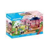 Playmobil - 71762 set de juguetes