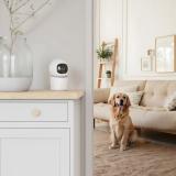 Hama - 00176652 cámara de vigilancia Bombilla Cámara de seguridad IP Interior 1920 x 1080 Pixeles Escritorio/pared