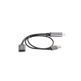 Lanberg - AD-HD-DP-02 adaptador de cable de vídeo 0,2 m HDMI tipo A (Estándar) DisplayPort Plata