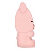 Celly - PBPIG batería externa Polímero de litio 2600 mAh Rosa