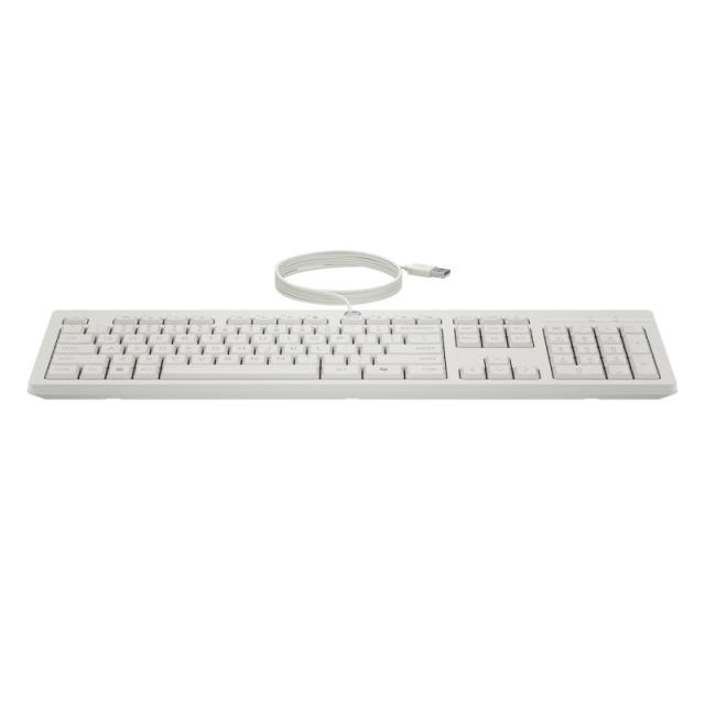 HP - Combo de teclado y ratón con cable 225 - AW5S6AA