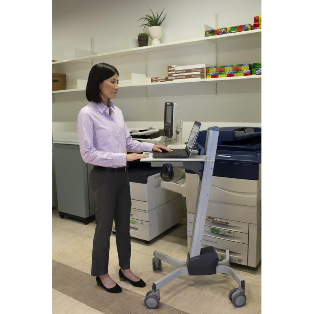 Ergotron - Neo-Flex Laptop Cart Gris Portátil Carro/soporte de suelo con ruedas multimedia