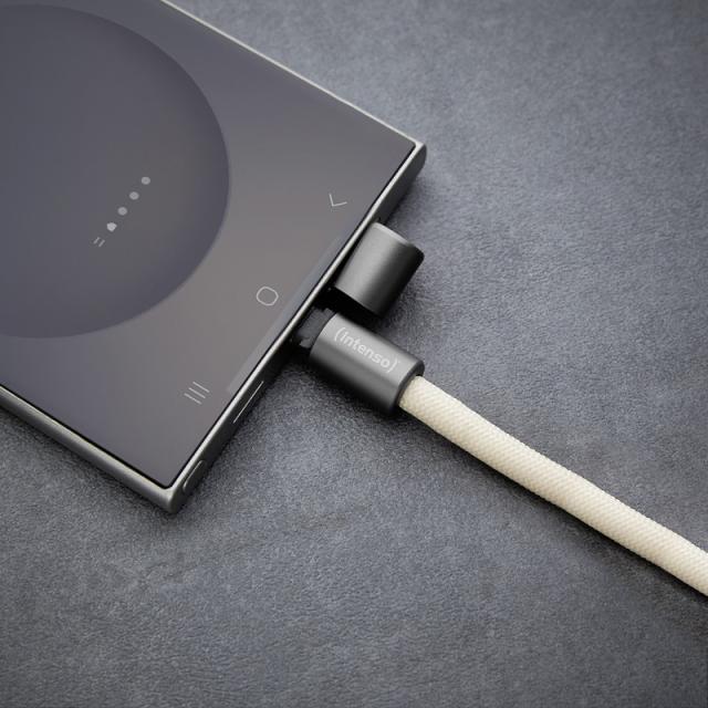 Intenso - Handykette als Lade- + Datenkabel USB-C bis 1,65m beige cable USB USB C