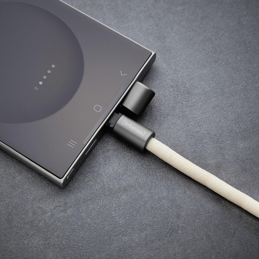 Intenso - Handykette als Lade- + Datenkabel USB-C bis 1,65m beige cable USB USB C