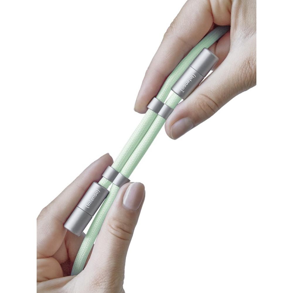Intenso - Handykette als Lade- + Datenkabel USB-C bis 1,65m grün cable USB USB C Verde