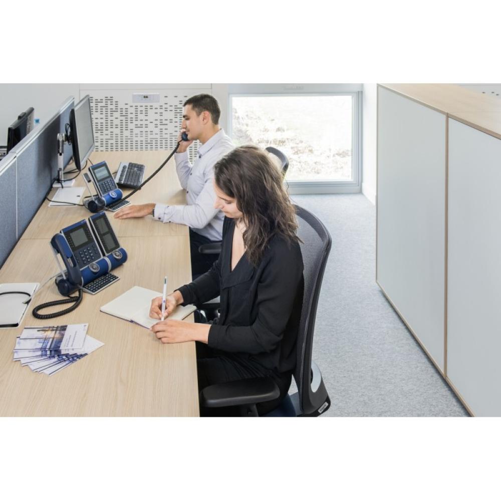 Alcatel-Lucent Enterprise - ALE-300 teléfono IP Azul LCD