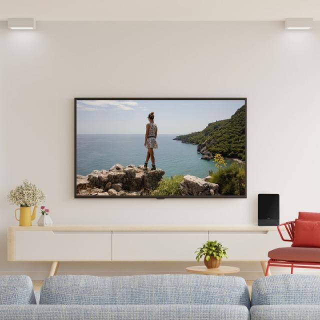 Hama - Pro antena de televisión Interior