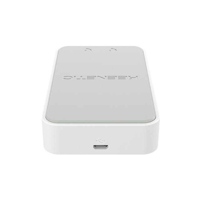 Keenetic - Linear Adaptador USB de teléfono analógico de dos puertos