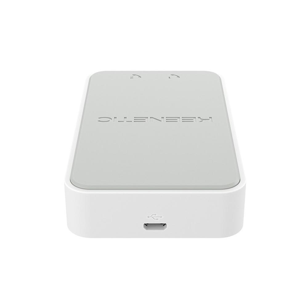 Keenetic - Linear Adaptador USB de teléfono analógico de dos puertos