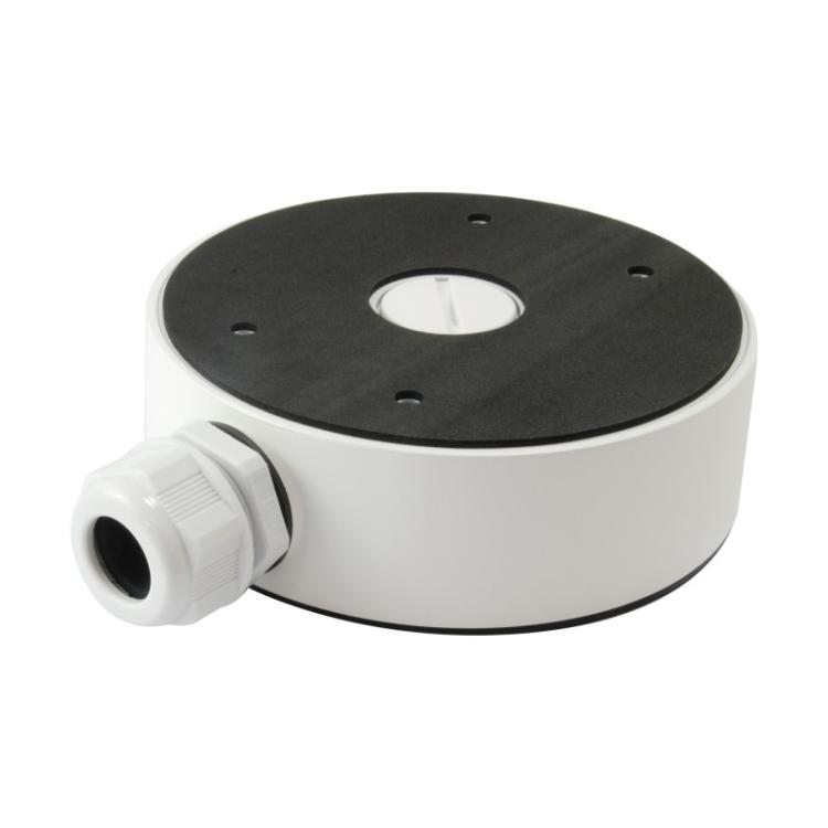 LevelOne - CAS-7319 cámaras de seguridad y montaje para vivienda Monte