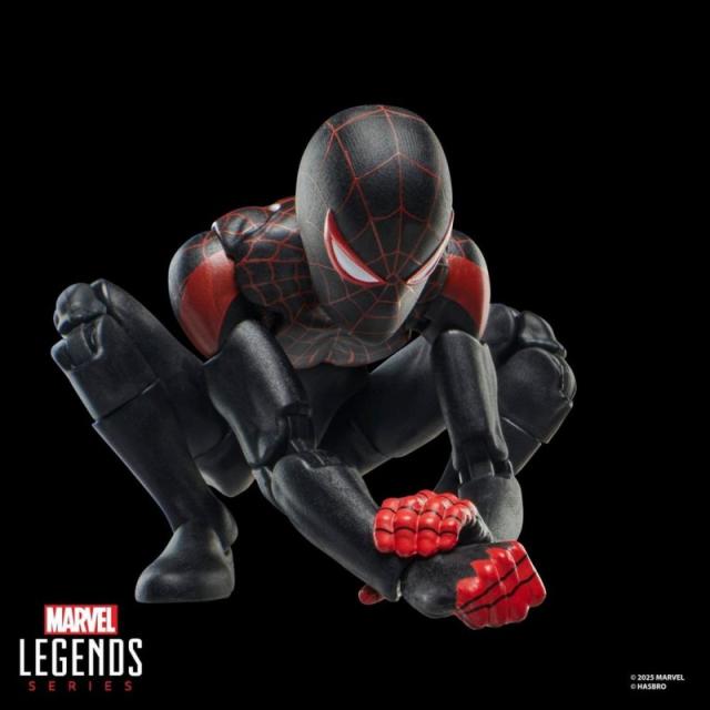 Hasbro - Marvel Legends Series Ultimate Miles Morales Spider-Man