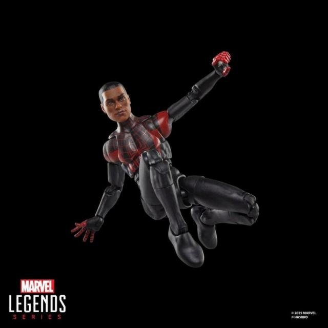 Hasbro - Marvel Legends Series Ultimate Miles Morales Spider-Man