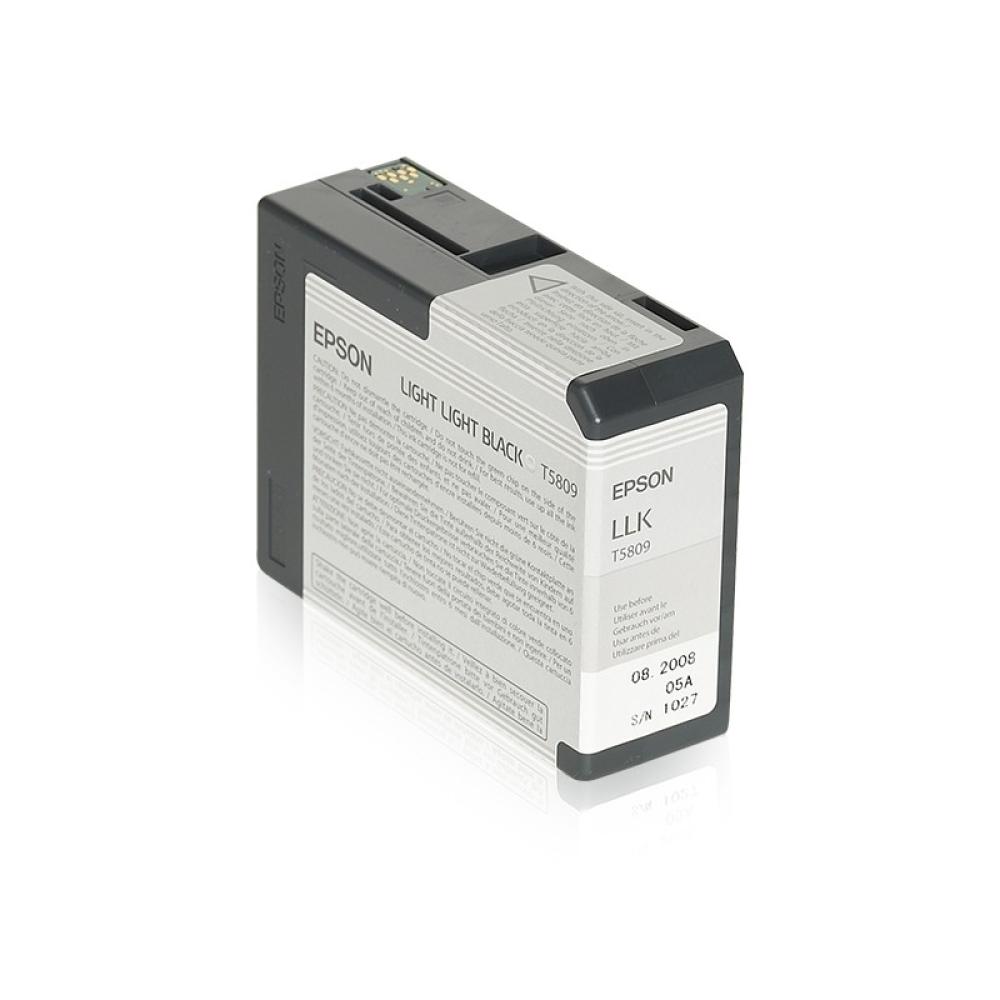 Epson - Cartucho T580900 gris claro
