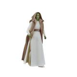 Hasbro - Star Wars Jedi Master Vernestra Rwoh