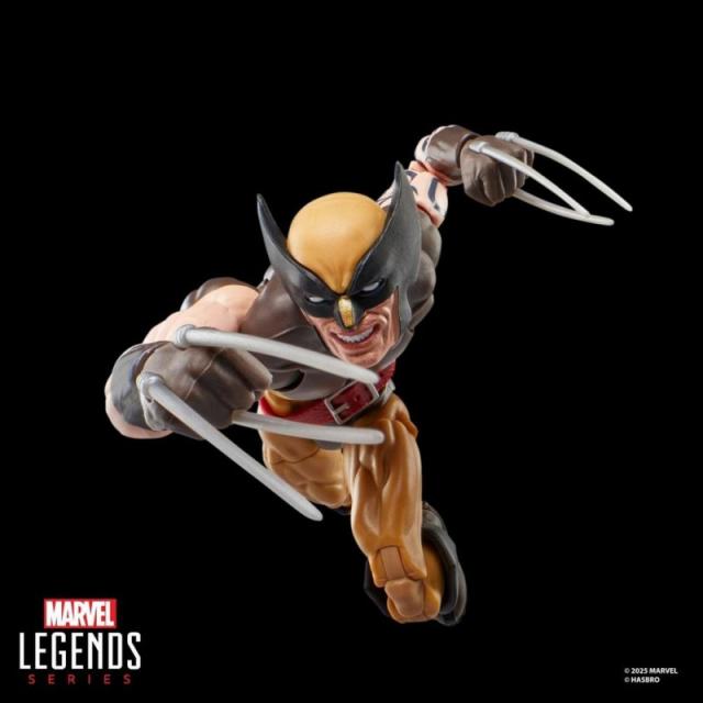Hasbro - Marvel Legends Series Daken (Wolverine)