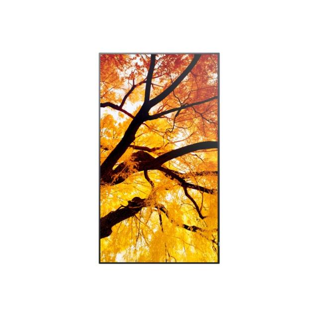 Sharp - MultiSync M322 Pantalla plana para señalización digital 81,3 cm (32") LCD 550 cd / m² Full HD Negro