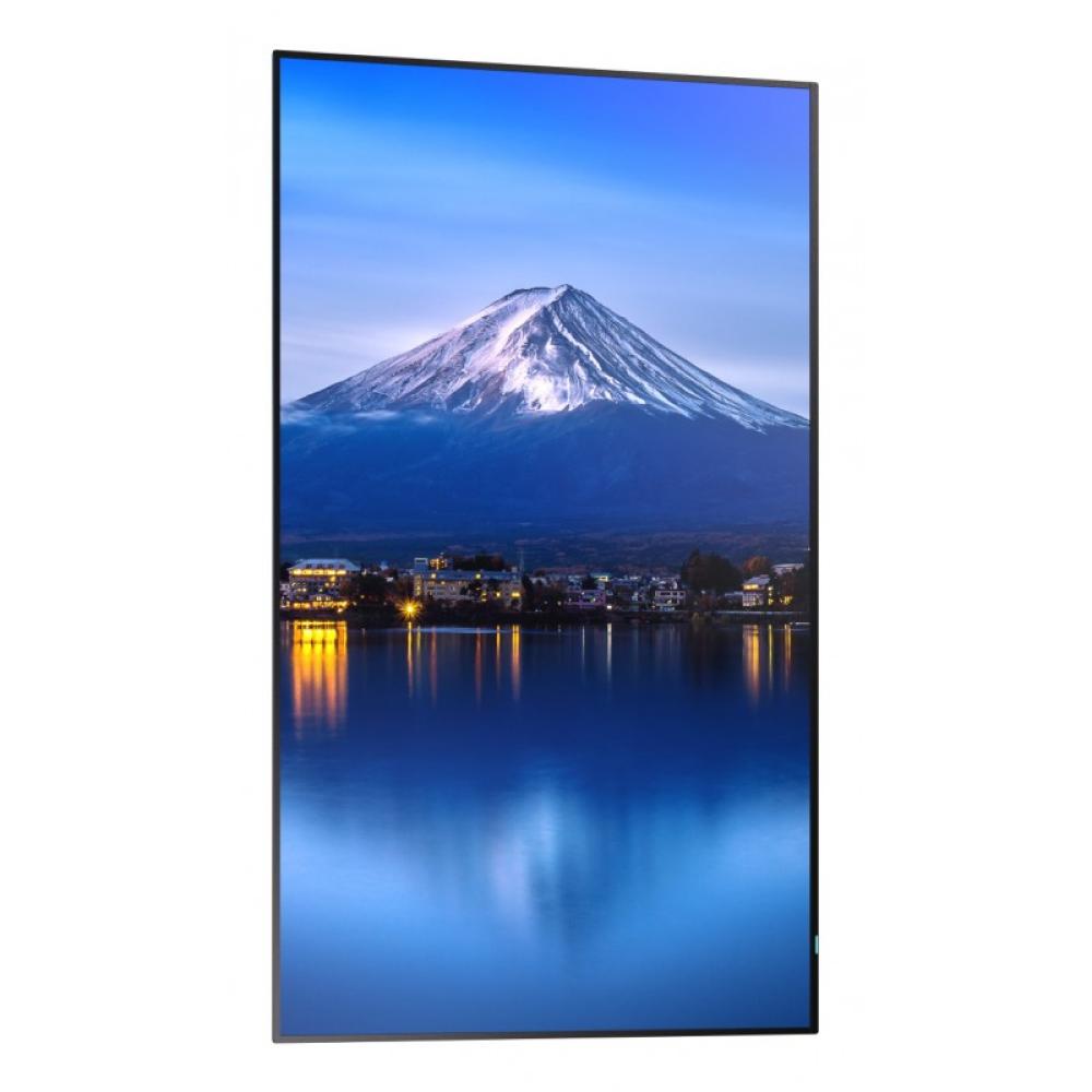 Sharp - MultiSync P656 Diseño de quiosco 163,8 cm (64.5") LCD 700 cd / m² 4K Ultra HD Negro Procesador incorporado