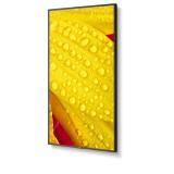 NEC - MultiSync M551-2 Diseño de quiosco 127 cm (50") LED 4K Ultra HD Negro Procesador incorporado
