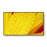 NEC - MultiSync M551-2 Diseño de quiosco 127 cm (50") LED 4K Ultra HD Negro Procesador incorporado
