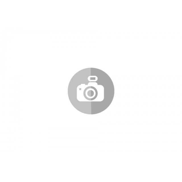 Playmobil - Dragons 71085 set de juguetes