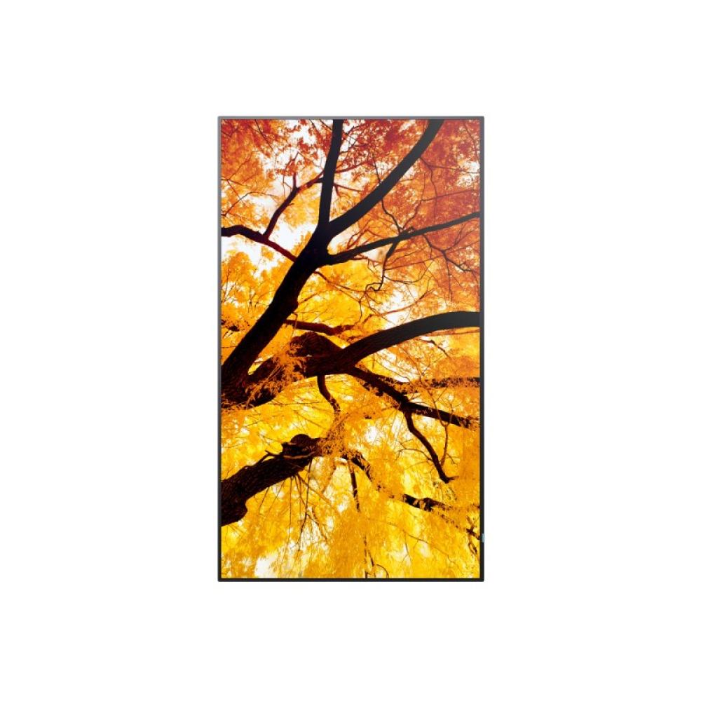 Sharp - MultiSync PN-M752 189,2 cm (74.5") LED 550 cd / m² 4K Ultra HD Negro 24/7