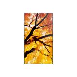 Sharp - MultiSync PN-M752 189,2 cm (74.5") LED 550 cd / m² 4K Ultra HD Negro 24/7