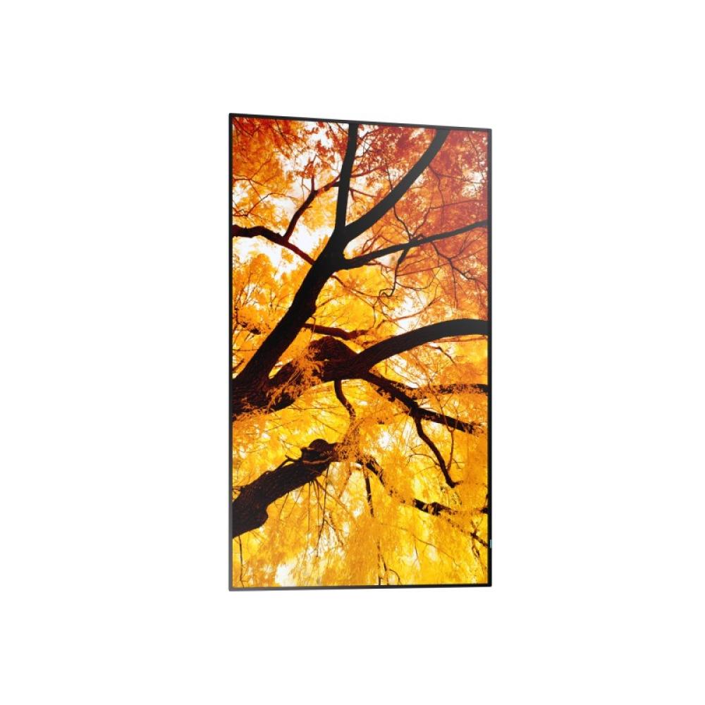 Sharp - MultiSync PN-M752 189,2 cm (74.5") LED 550 cd / m² 4K Ultra HD Negro 24/7