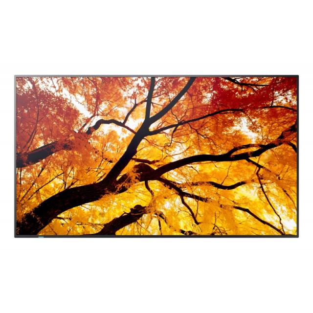 Sharp - MultiSync PN-M752 189,2 cm (74.5") LED 550 cd / m² 4K Ultra HD Negro 24/7