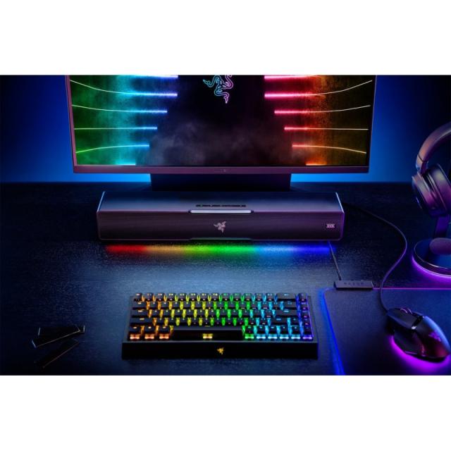 Razer - Leviathan V2 Negro 65 W